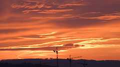 Cranes_sunset2_16x9